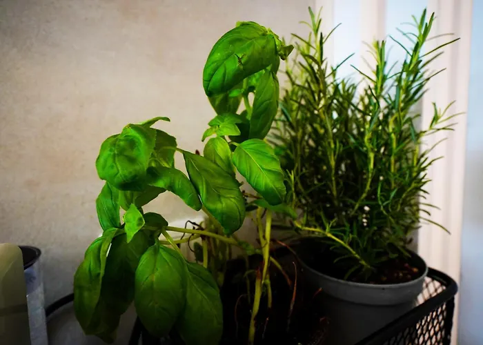 Appartement Peaceful 2 Bedrooms With Patio, Near Metro A Rome